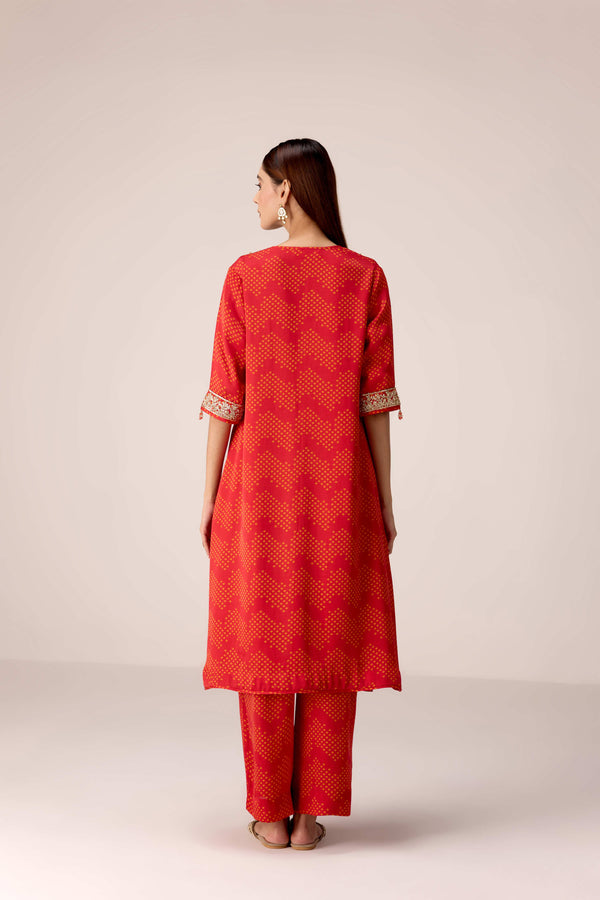 Maroon printed and embroidered kurta pants set