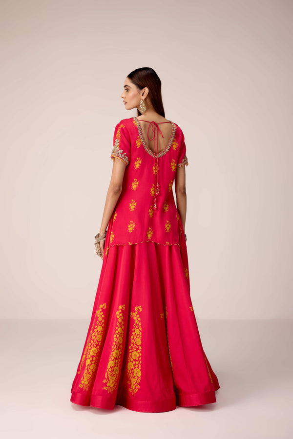Pink printed and embroidered top skirt set