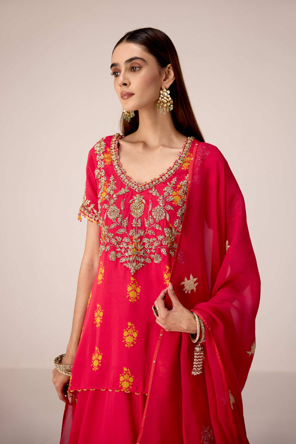 Pink printed and embroidered top skirt set