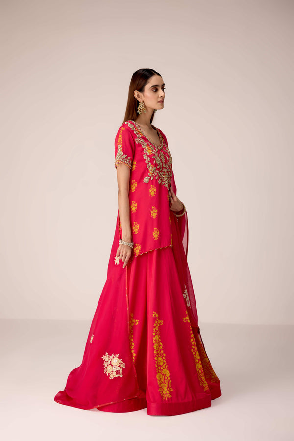 Pink printed and embroidered top skirt set