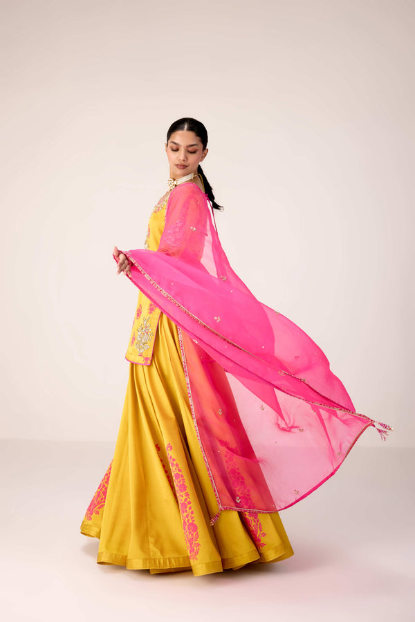 Yellow pink zardozi embroidered top skirt set.