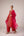 Brick red zardozi  embroidered kurta pants set
