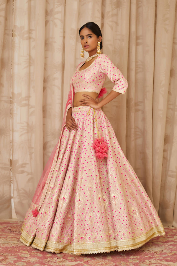 Pink Lehenga Set.