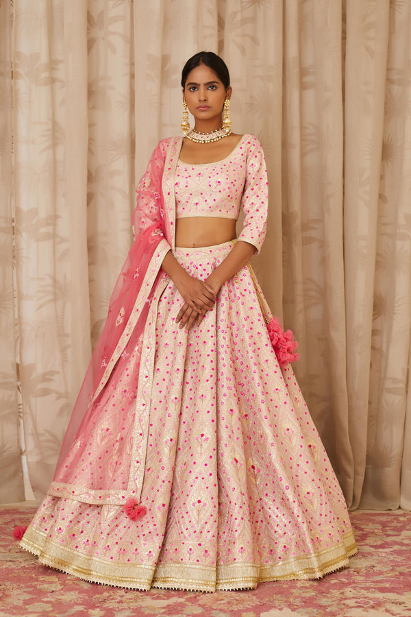 Pink Lehenga Set.