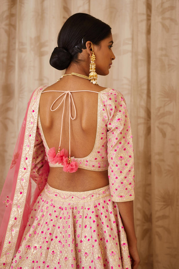 Pink Lehenga Set.