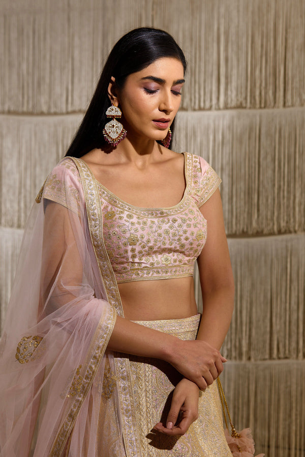 Light Pink Lehenga set