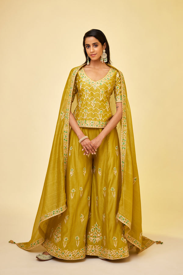 Olive Green Sharara Set.