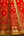 Red Lehenga Set.