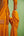 Mustard Kurta & Sharara Set.