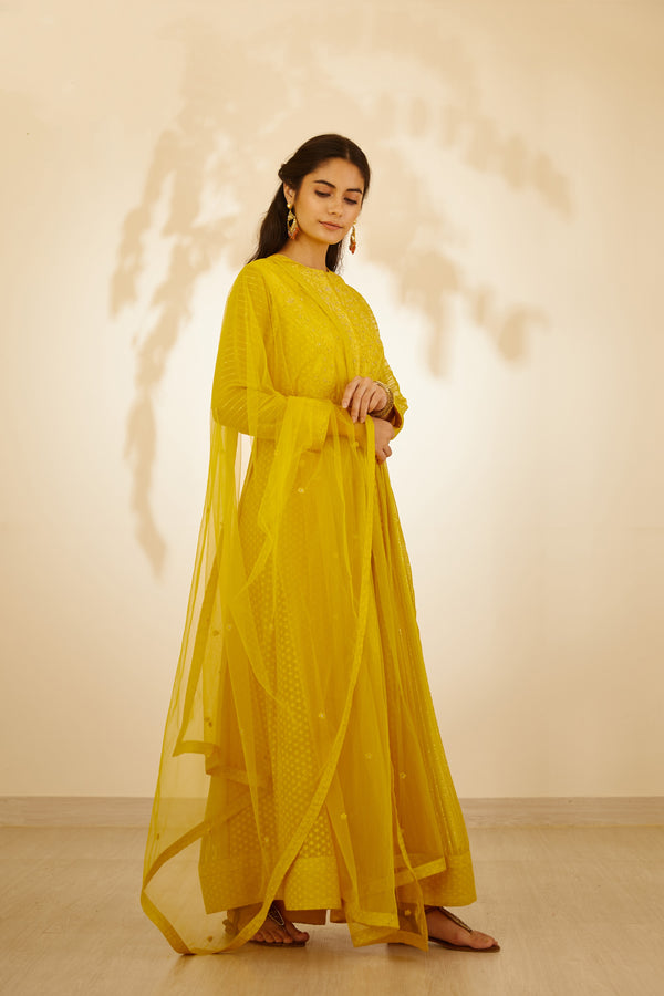 Mustard Yellow Anarkali Set.