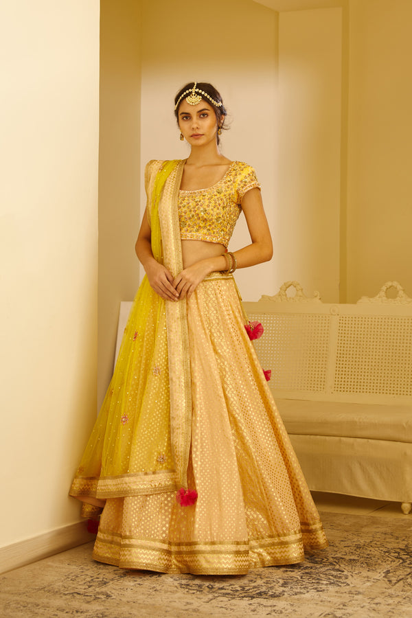 Beige Lehenga Set.