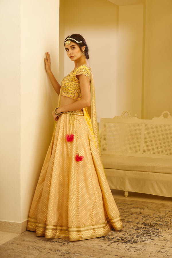 Beige Lehenga Set.