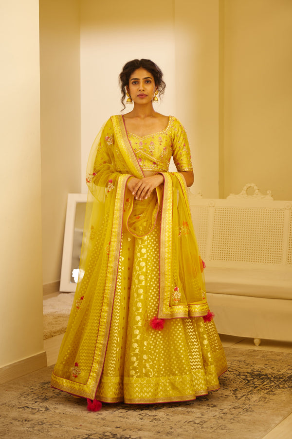 Mustard Yellow Lehenga Set.