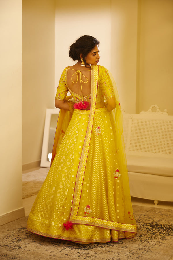 Mustard Yellow Lehenga Set.