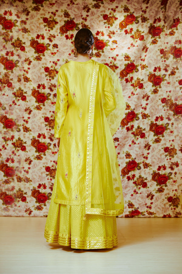 Yellow Kurta & Skirt set.