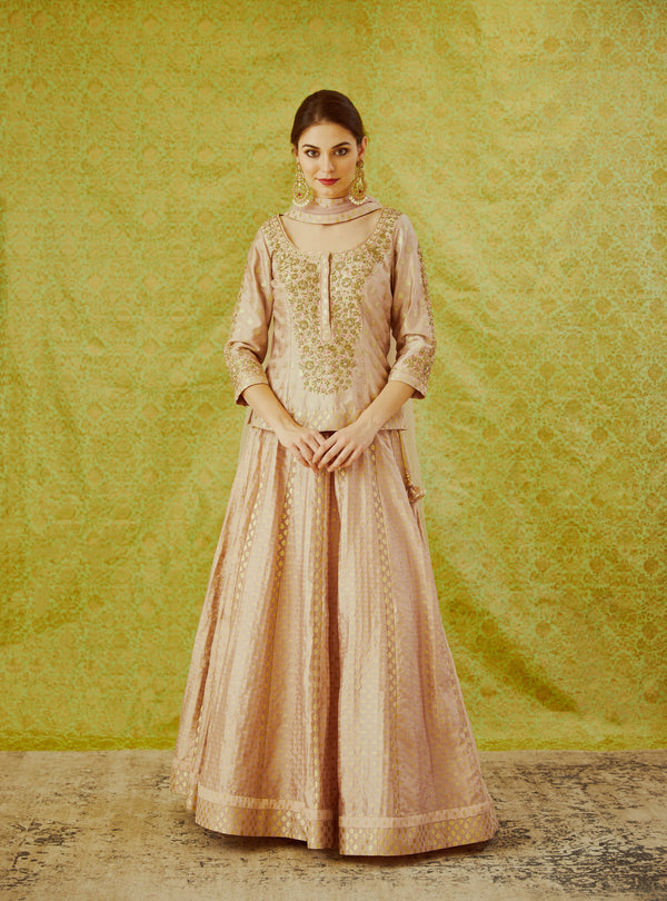 Light Mauve Lehenga Set.