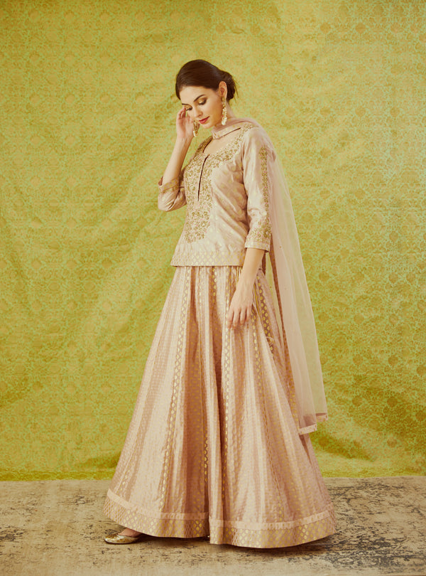 Light Mauve Lehenga Set.