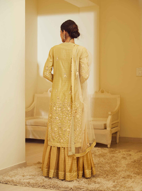 Gold Beige Kurta & Skirt Set.