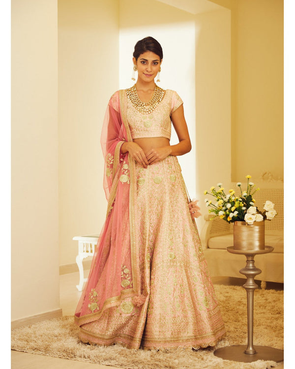 Light Pink Lehenga Set.