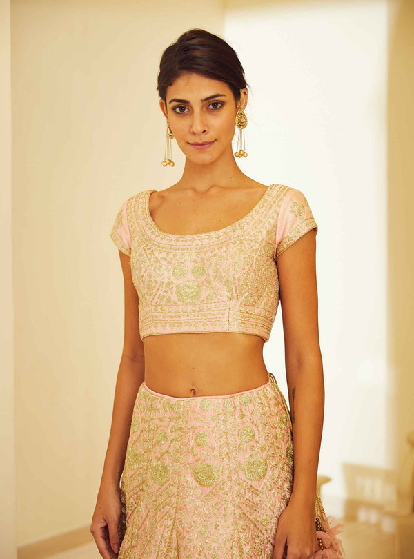 Light Pink Lehenga Set.