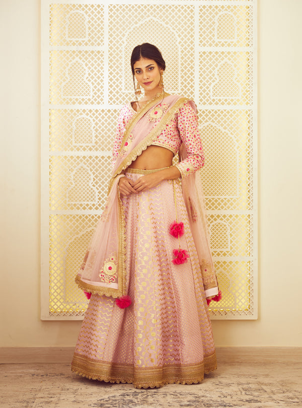 Light Pink Lehenga Set.