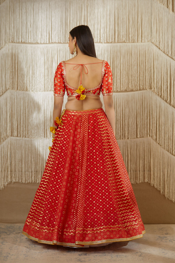 Red Lehenga set