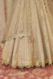 Silver Grey Lehenga Set.
