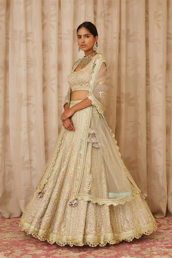 Silver Grey Lehenga Set.