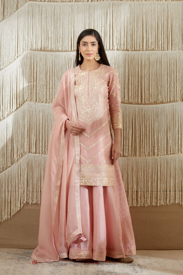 Powder Pink Sharara set.