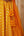 Mustard Lehenga Set.