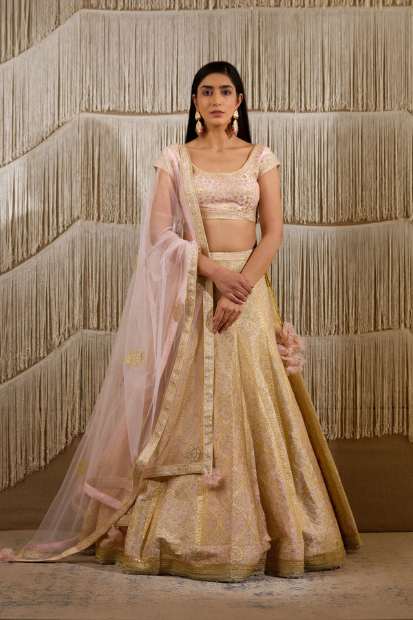 Light Pink Lehenga set