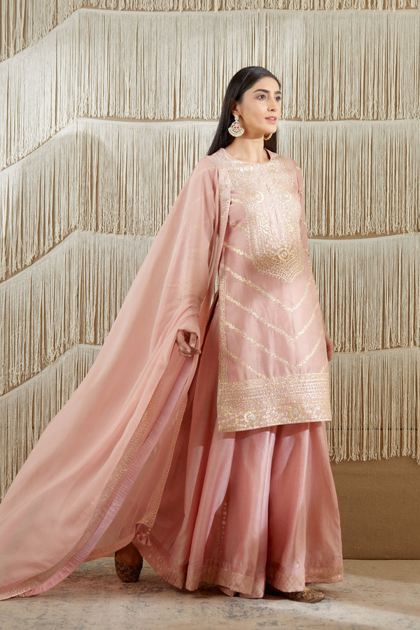 Powder Pink Sharara set.