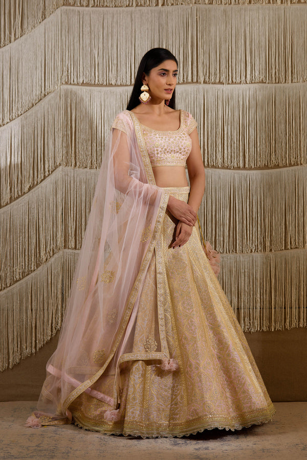 Light Pink Lehenga set