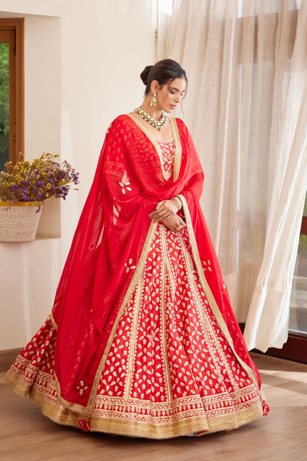 Red Maroon Lehenga Set.