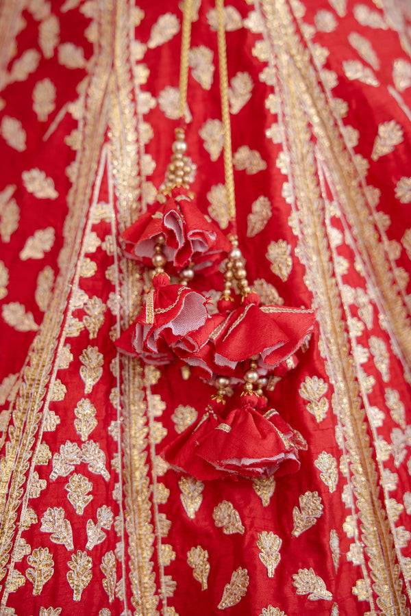 Red Maroon Lehenga Set.