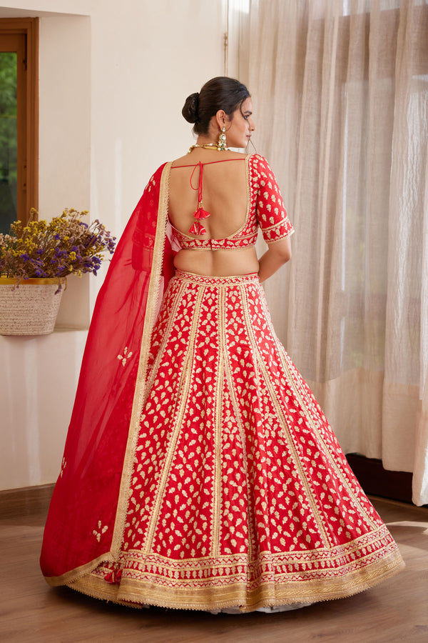 Red Maroon Lehenga Set.