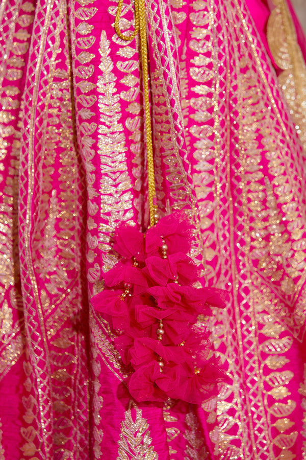 Pink Lehenga set