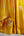Mustard Sharara set.