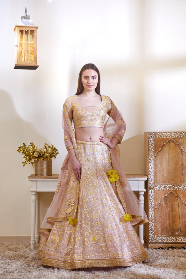 Blush Pink Lehenga Set.