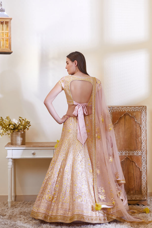 Blush Pink Lehenga Set.