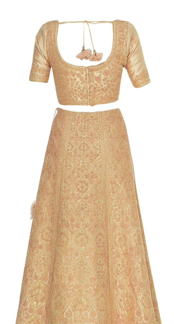 Brocade dori embroidered lehenga set